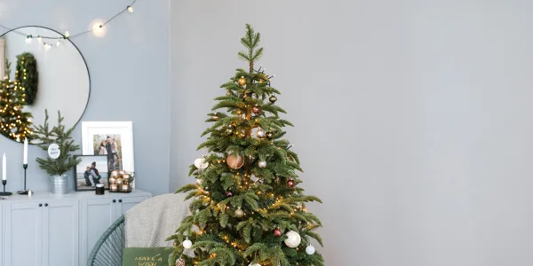 Świąteczne inspiracje